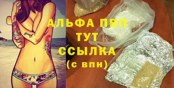 крисы Козельск