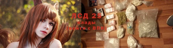 крисы Козельск