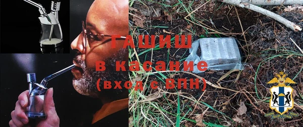 крисы Козельск