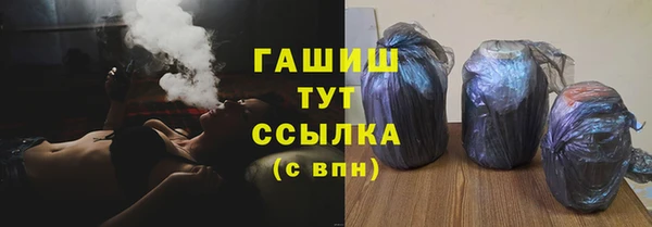 крисы Козельск