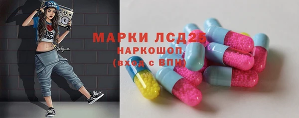 крисы Козельск