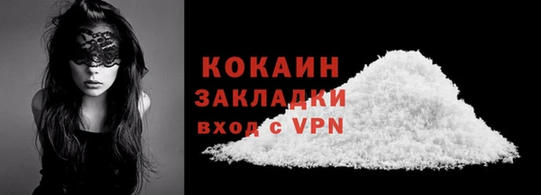 крисы Козельск