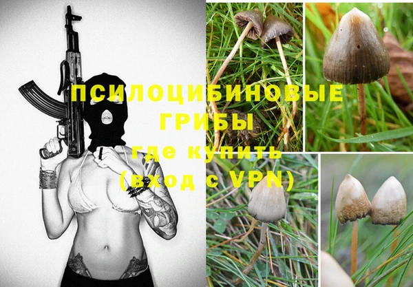 apvp Кодинск
