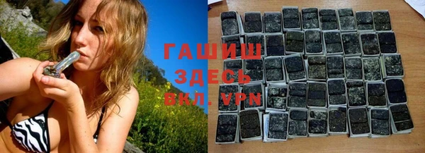 крисы Козельск