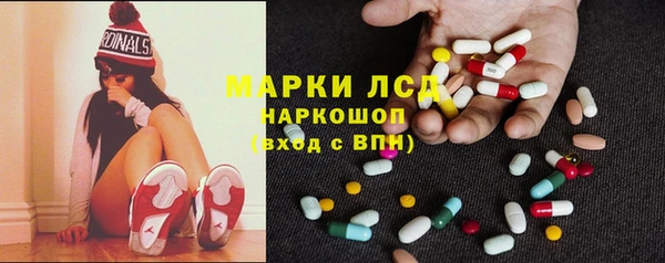 крисы Козельск