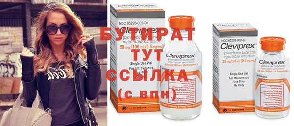 крисы Козельск