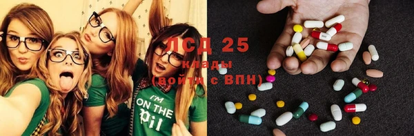 крисы Козельск