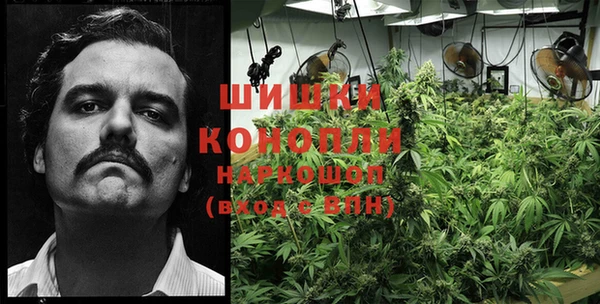 крисы Козельск