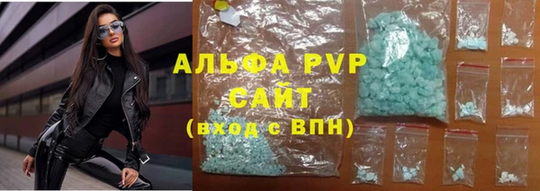 крисы Козельск
