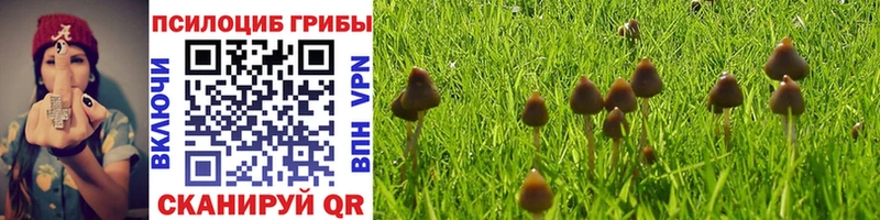Галлюциногенные грибы Cubensis  Купить где  Северск 